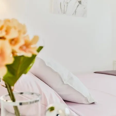 Legac 2 Nin