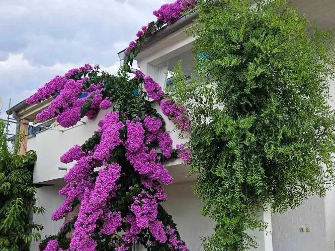 Legac 2 Appartement Nin