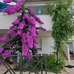 Legac 2 Apartman Nin
